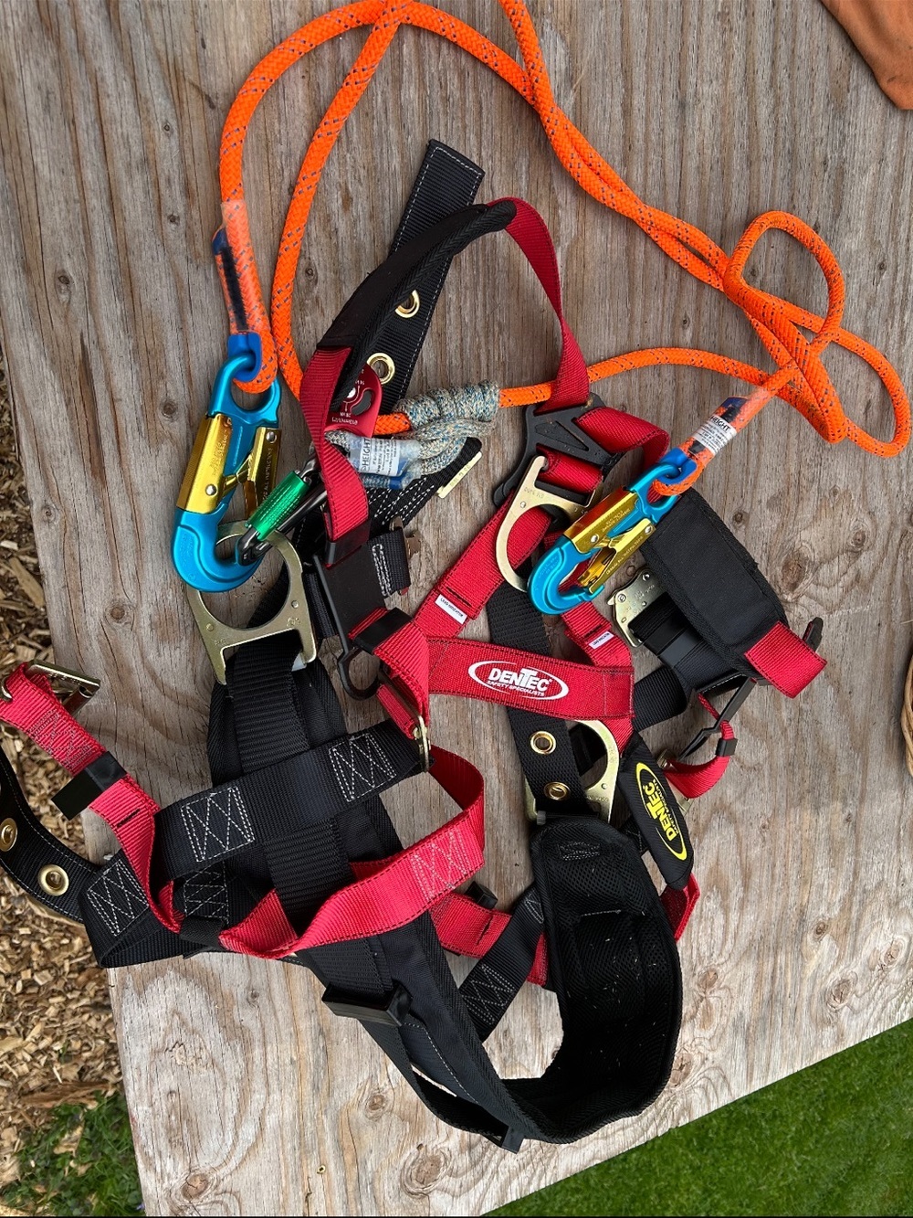 Dentec Red & Black Climbing/Rescue Harness with Carabiners